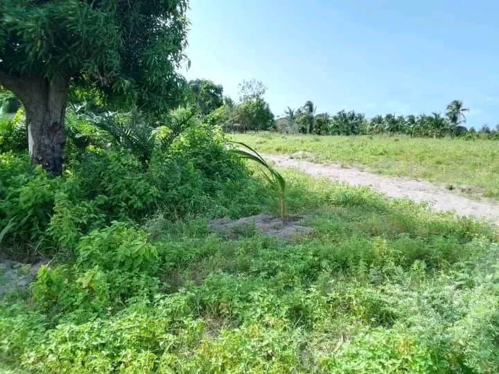 domaine-dun-hectares-et-demi-au-bord-du-lac-a-vendre-a-pahou-avlekete