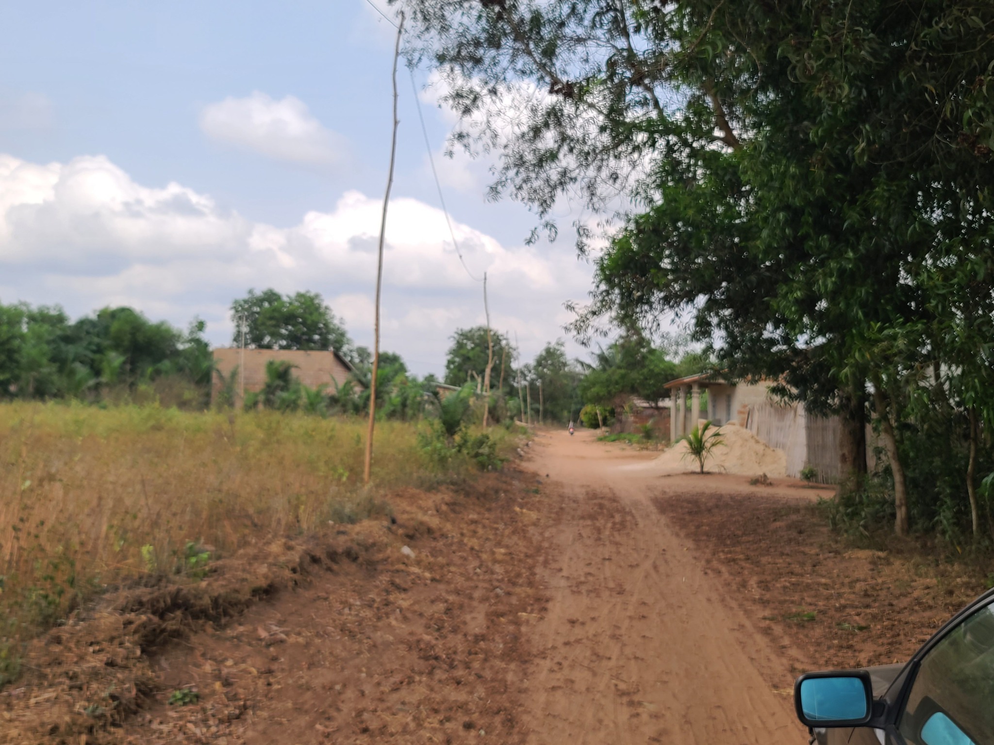 04-hectares-de-jeunes-plamiers-selectionnes-a-ouidah-en-zone-peri-urbaine